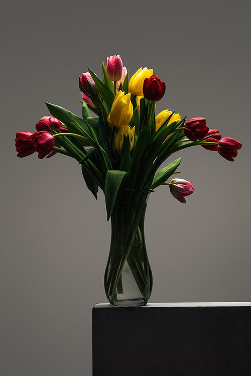 bouquet of colorful tulips in glass vase on grey