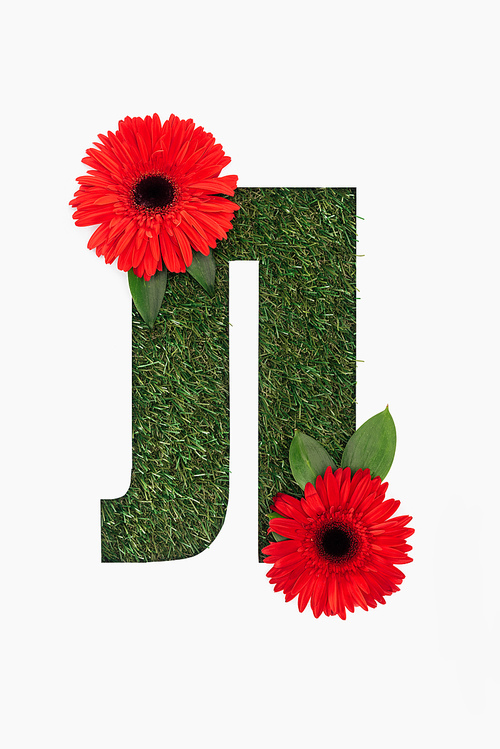 cut out letter from cyrillic alphabet made of natural grass and with red bright gerberas isolated on white