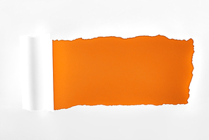 tattered textured white paper with rolled edge on orange background