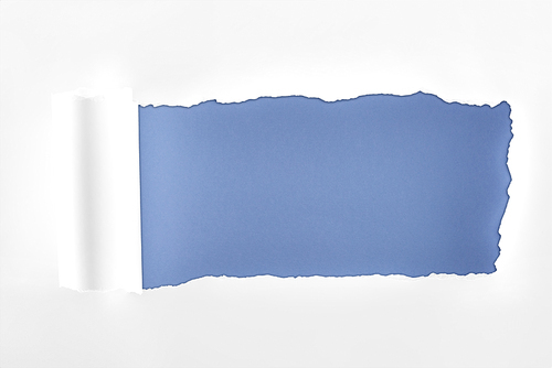 tattered textured white paper with rolled edge on blue background