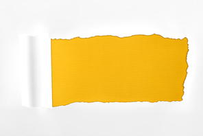 tattered textured white paper with rolled edge on yellow background