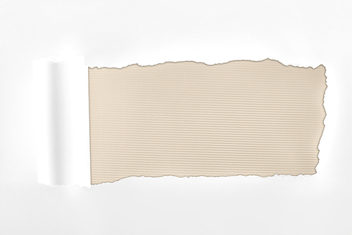 tattered textured white paper with rolled edge on ivory background
