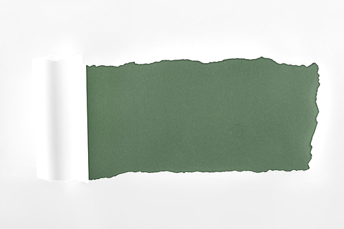ragged textured white paper with rolled edge on dark green background