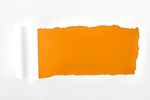 ragged textured paper with rolled edge on orange background