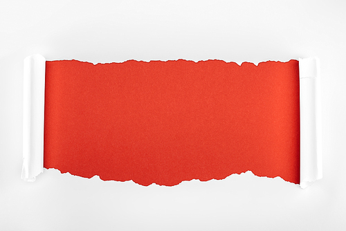 ripped white textured paper with curl edges on red background