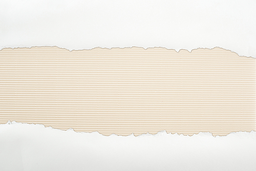 ripped white textured paper with copy space on ivory striped background