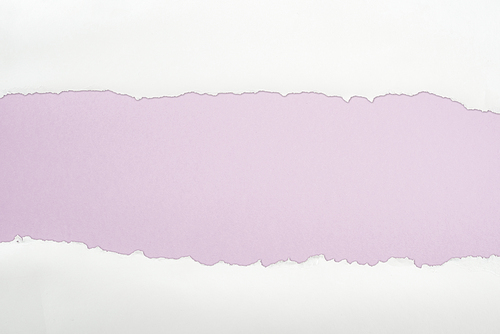 ripped white textured paper with copy space on light purple background