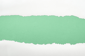 ragged white textured paper with copy space on green background