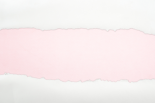 ragged white textured paper with copy space on pink background