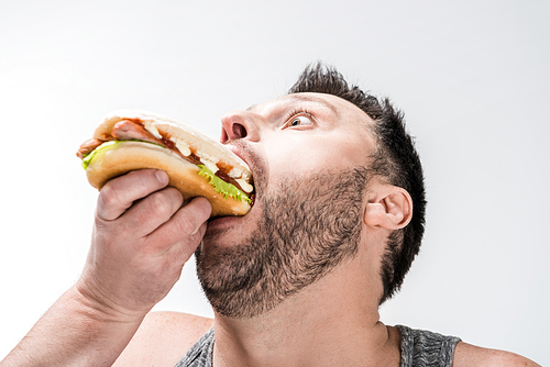 close up view of overweight man in tank top eating hot dog isolated on white