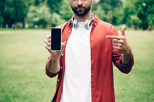 cropped view of man holding and showing at smartphone while standing in park