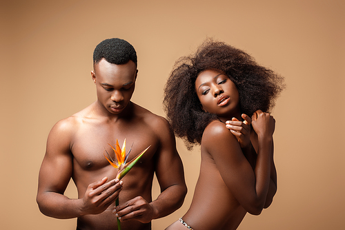 sexy naked african american couple posing with Strelitzia flower on beige