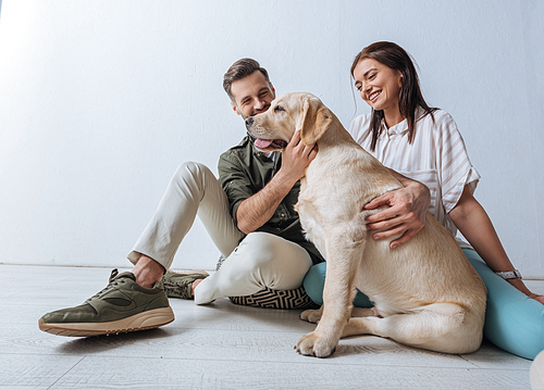 Smiling couple sitting on floor and petting golden retriever on grey background