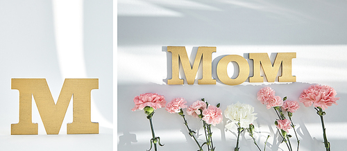 collage of pink carnations, m letter and mom lettering on white background with sunlight and shadows