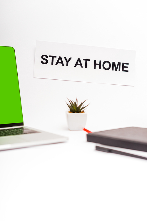 selective focus of laptop with green screen near plant, notebook, pen and paper with stay at home lettering on white