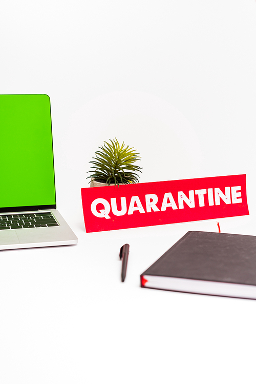 selective focus of laptop with green screen near pen, notebook, plant and paper with quarantine lettering on white