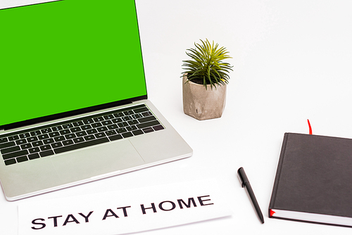 laptop with green screen near plant, pen, notebook and paper with stay at home lettering isolated on white
