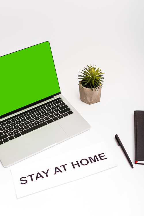 laptop with green screen near green plant, pen, notebook and paper with stay at home lettering isolated on white