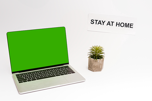 laptop with green screen near plant and paper with stay at home lettering on white