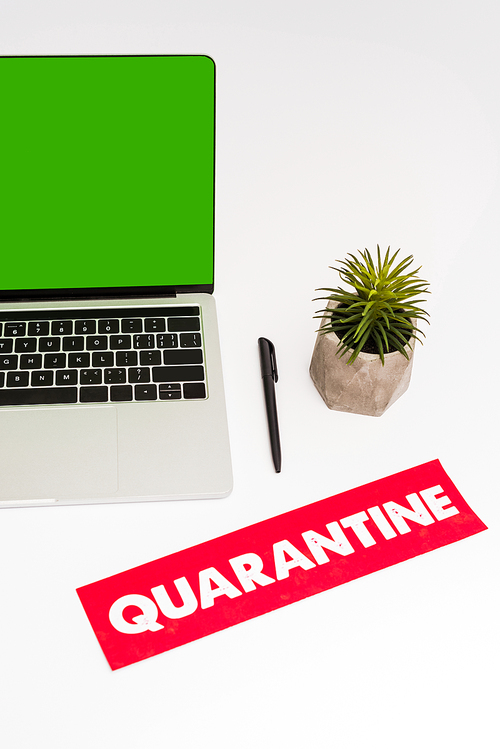 laptop with green screen near plant, pen and paper with quarantine lettering isolated on white