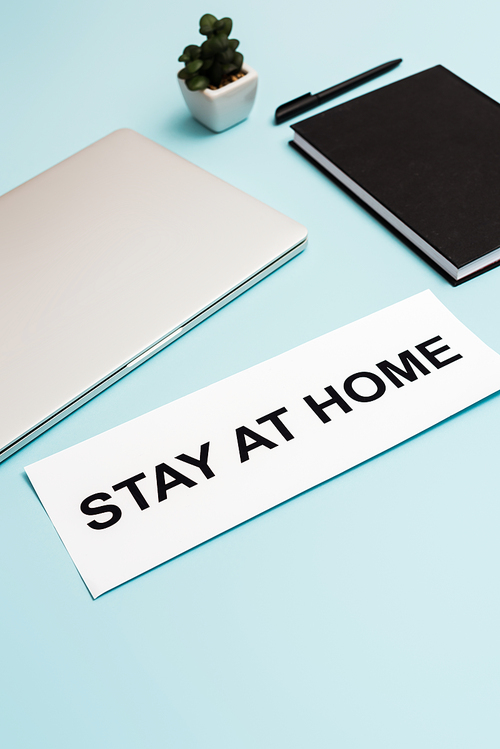 laptop, notebook, plant and pen near paper with stay at home lettering on blue