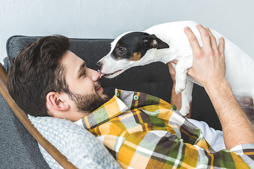 jack russell terrier dog licking face of smiling man