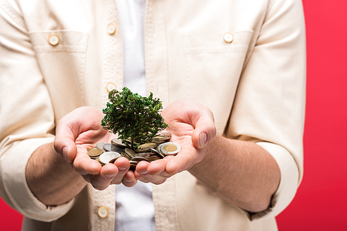 Cropped view of man holding money tree and coins Isolated On pink