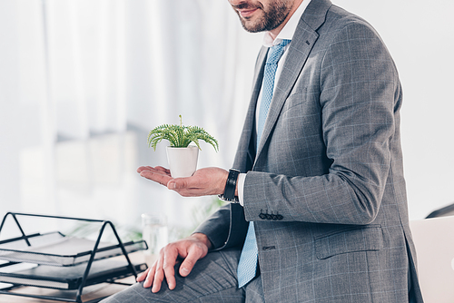 cropped view of businessman in suit holding flowerpot with plant in office