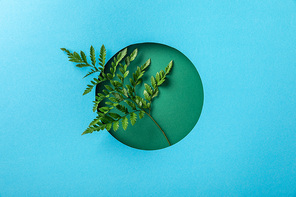 geometric background with green fern leaf in round hole on blue paper