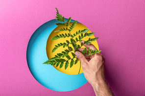 cropped view of make hand holding fern leaf on colorful paper with circles