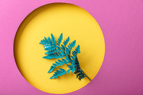green fern leaf on yellow round hole on pink paper