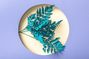 blue decorative fern leaves in hole on purple paper