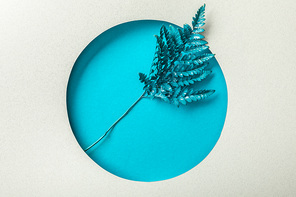 blue fern leaf in round hole on white paper