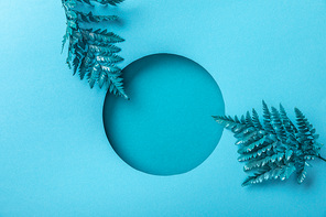 blue decorative fern leaves near geometric hole on blue paper