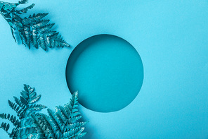 blue decorative fern leaves near round hole on blue paper