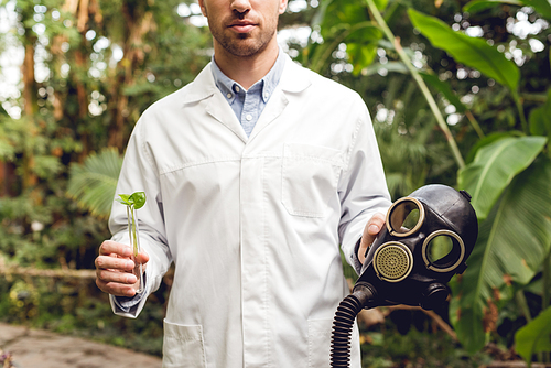 partial view of scientist in white coat holding rubber gas mask and flask with plant sample in orangery