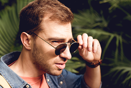 handsome adult tourist touching sunglasses in tropical forest