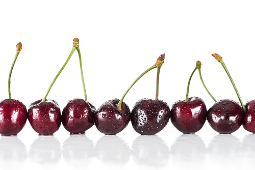 red, fresh, whole cherries with water drops on white background with copy space