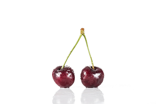red, fresh, whole and wet cherries on white background with copy space