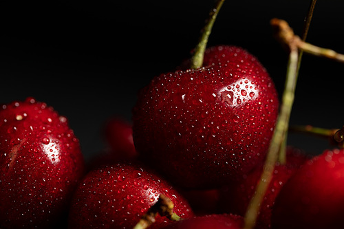 close up view of red delicious shiny cherries with water drops isolated on black