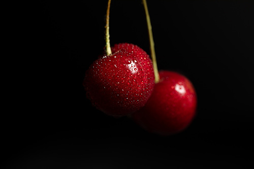 red delicious cherries with water drops isolated on black