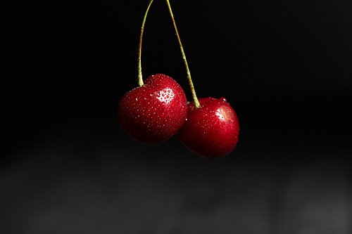 close up view of wet delicious cherries with water drops isolated on black