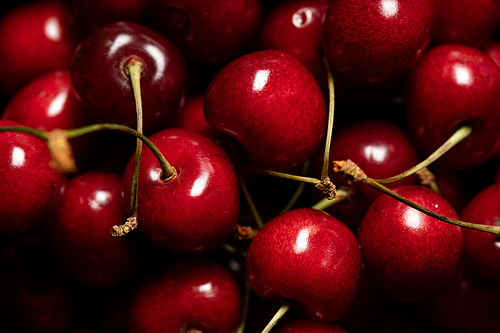 close up view of red tasty and ripe cherries