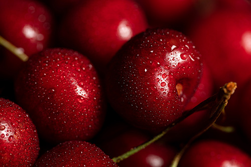 close up view of red tasty and fresh cherries with water drops