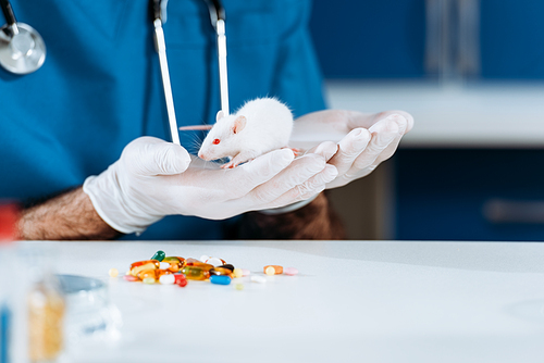 cropped view of veterinarian in latex gloves holding white mouse near capsules on table