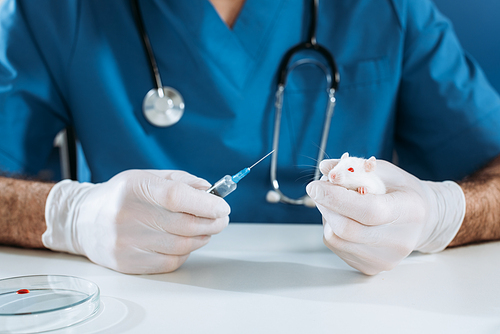 cropped view of veterinarian in latex gloves holding white mouse and syringe with medicine