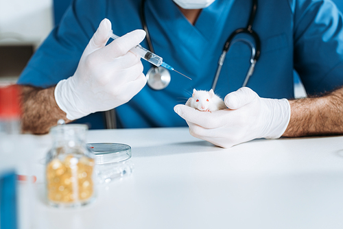 partial view of veterinarian in latex gloves holding syringe with vaccine near white mouse