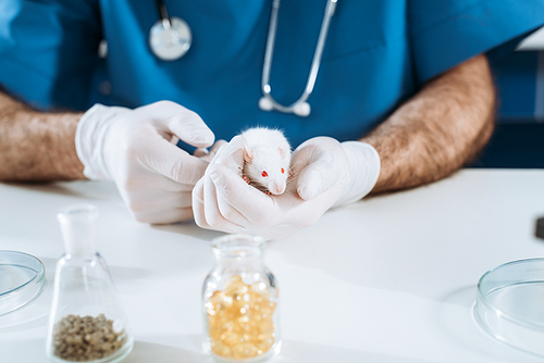 cropped view of veterinarian in latex gloves holding white mouse near container with medicine