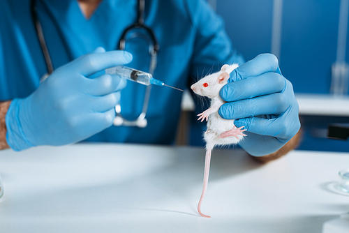 partial view of veterinarian in latex gloves holding white mouse and syringe with medicine,