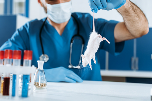 selective focus of veterinarian in medical mask and latex gloves holding white mouse by tail near test tubes